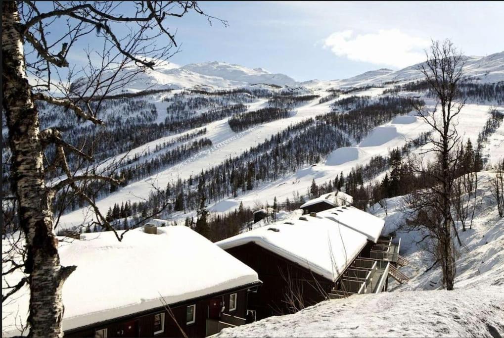 Apartment Stor Med Panoramautsikt Over Hemsedal Tuv (Viken)