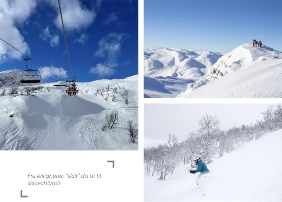 Stor Med Panoramautsikt Over Hemsedal *